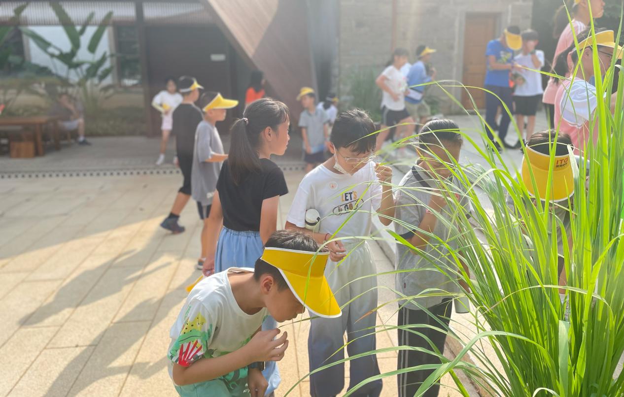 图片5.jpg